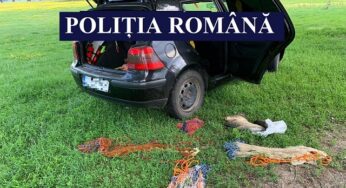 Poliția Transporturi Constanța. 15 persoane sunt cercetate pentru braconaj piscicol