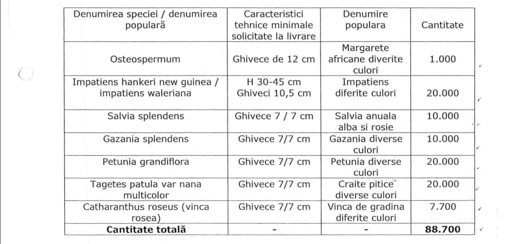 achizitie flori