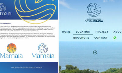 logo mamaia