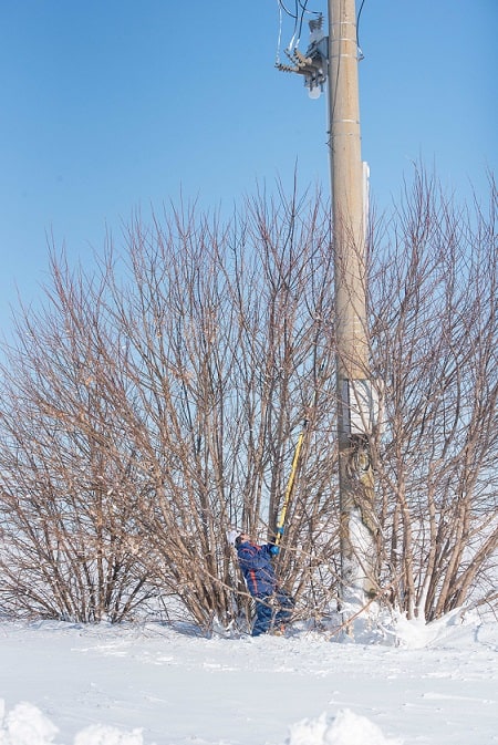 Interventii Retele Electrice Dobrogea