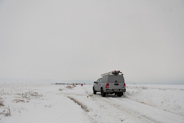 interventii Retele Electrice Dobrogea