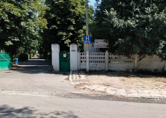 psihiatrie palazu mare