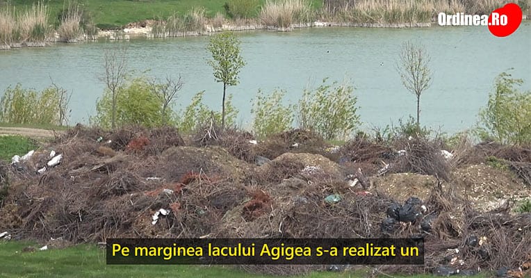 Groapa de gunoi in rezervatia naturala Agigea