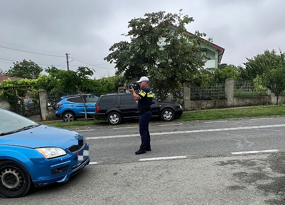 fara permis de conducere