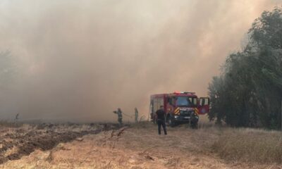 incendiu poarta alba