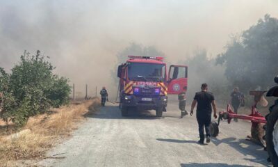 incendiu poarta alba