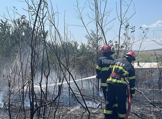 incendiu vegetatie uscata