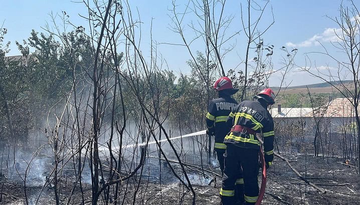 incendiu vegetatie uscata