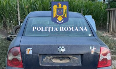 la volan fara permis