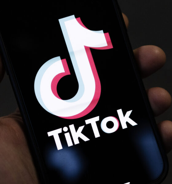 US And EU Ban TikTok From Staff Mobile Devices