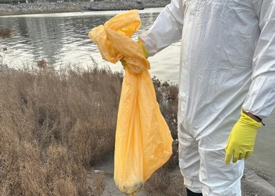 garda de mediu lac techirghiol