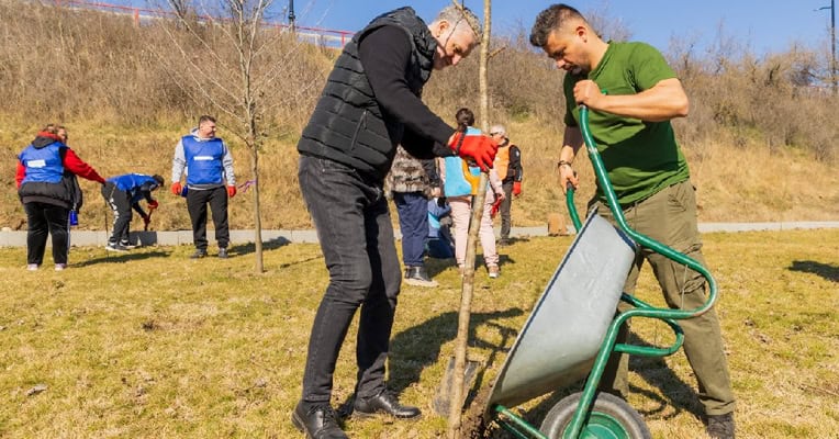 plantare navodari