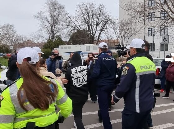 sofer accident mamaia arestat