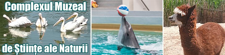 Delfinariu
