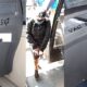 autobuz mazgalit
