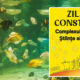 cmsn zilele constantei