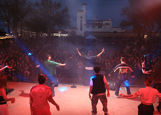 petrecere mamaia
