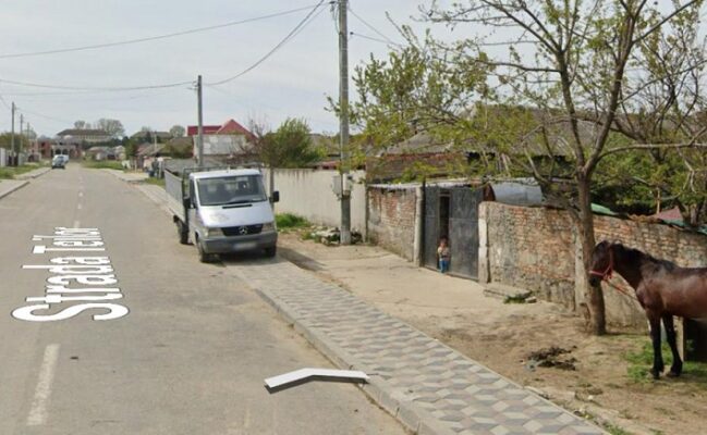 str teilor medgidia str teilor medgidia