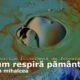 Cum repiră pământul