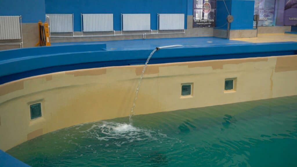Delfinariu interior Delfinariu interior