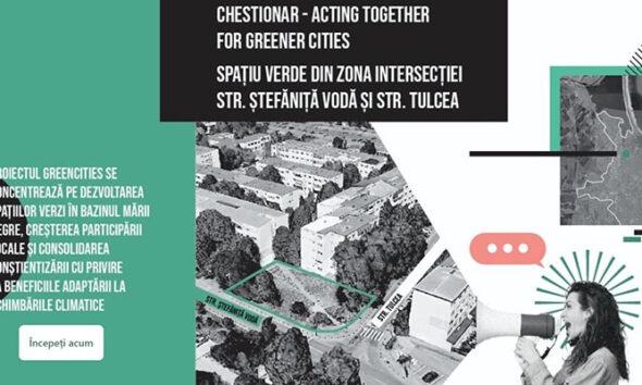 chestionar primaria constanta