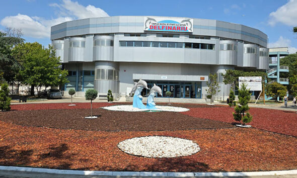 delfinariu constanta