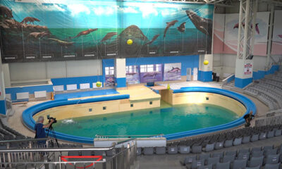 delfinariu constanta