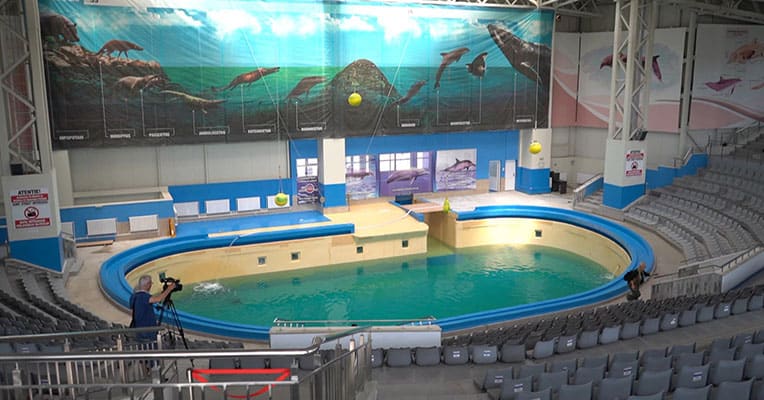 delfinariu constanta