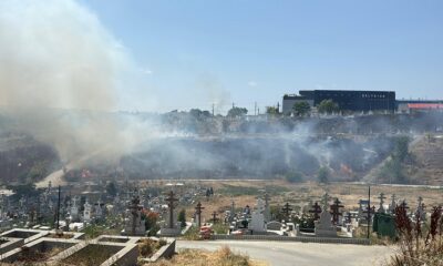 incendiu cimitir tulcea