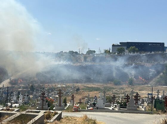 incendiu cimitir tulcea