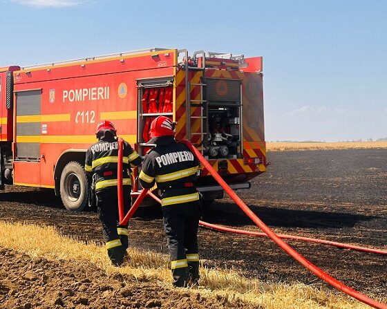 incendiu valea nucarilor