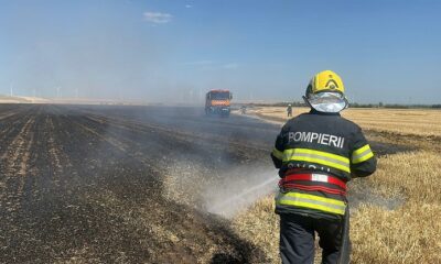 incendiu valea nucarilor