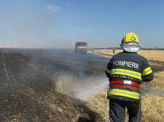 incendiu valea nucarilor