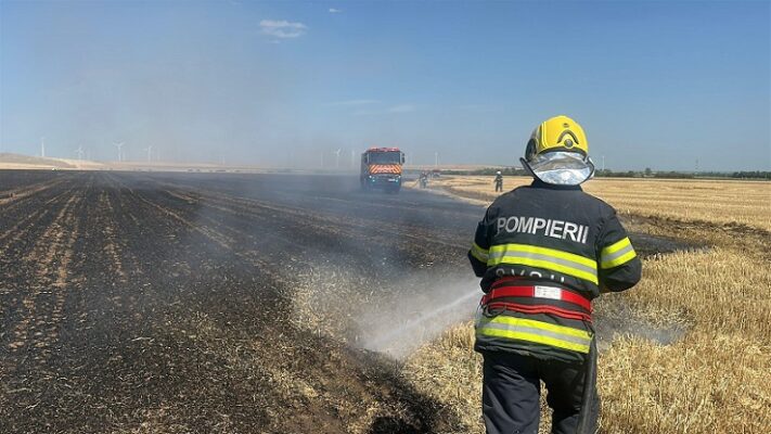 incendiu valea nucarilor incendiu valea nucarilor