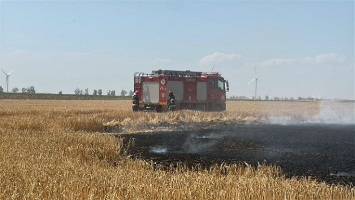 incendiu valea nucarilor incendiu valea nucarilor