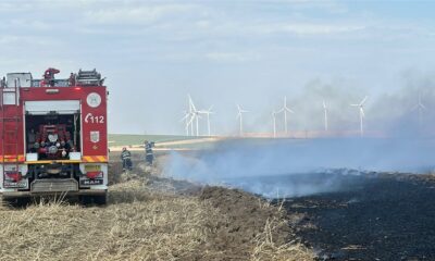 incendiu valea nucarilor