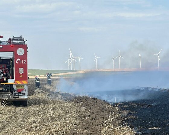 incendiu valea nucarilor