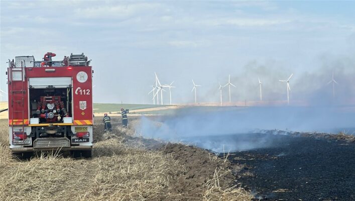 incendiu valea nucarilor