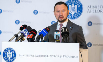 mircea fechet