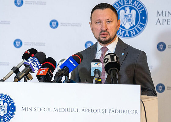 mircea fechet