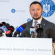 mircea fechet