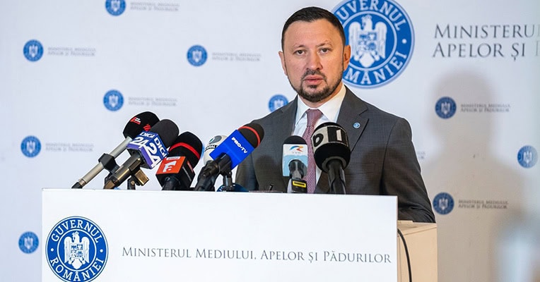 mircea fechet