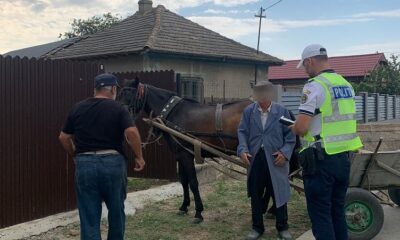 politia tulcea actiune