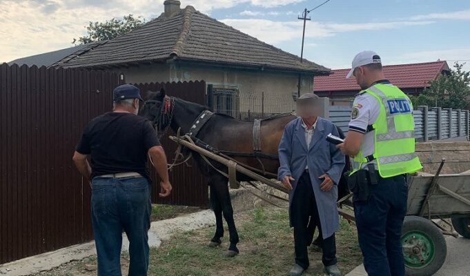 politia tulcea actiune