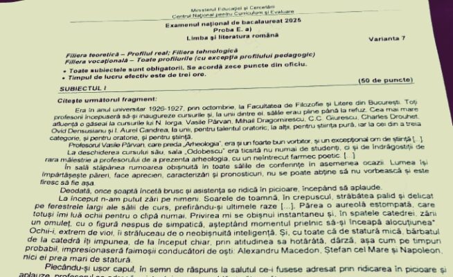 subiecte bac romana profil tehnologic
