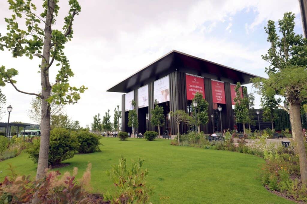 Iulius Mall Suceava (Medium)