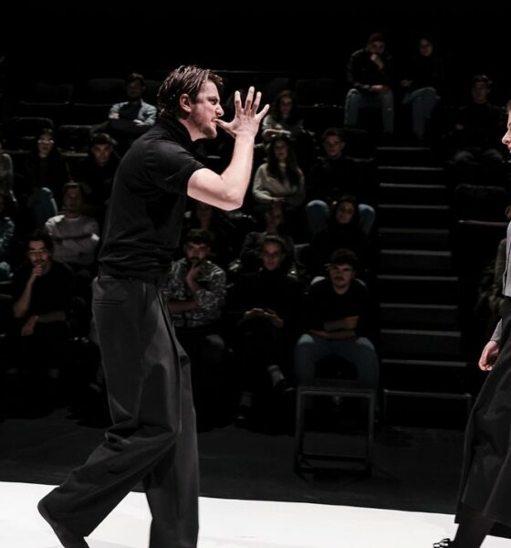 Vlad Udrescu Hamlet