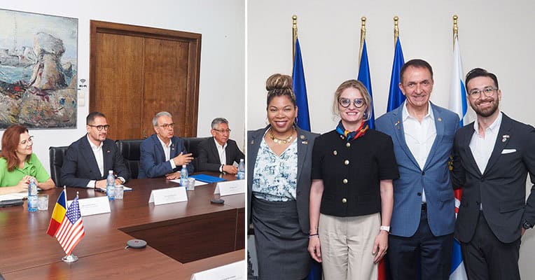 delegatie sua