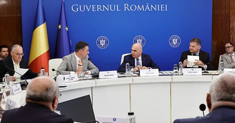 guvern reforma administrativa