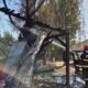 incendiu Daeni